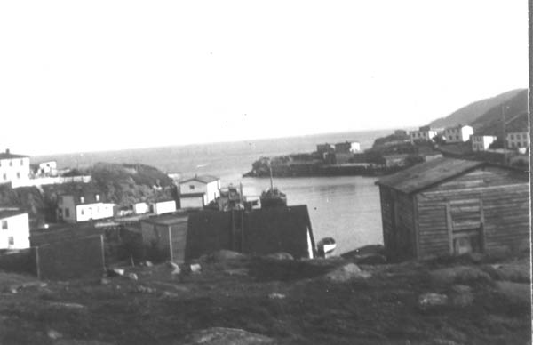 413: "View of the harbour from the hill above Mr. Bill Rose's house. You can see the corner of  our house." The schooner is Frank Ryan's. (1955) [courtesy of Mary (Reddy) King]